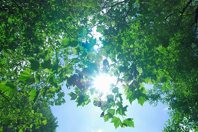 大人の自然体験