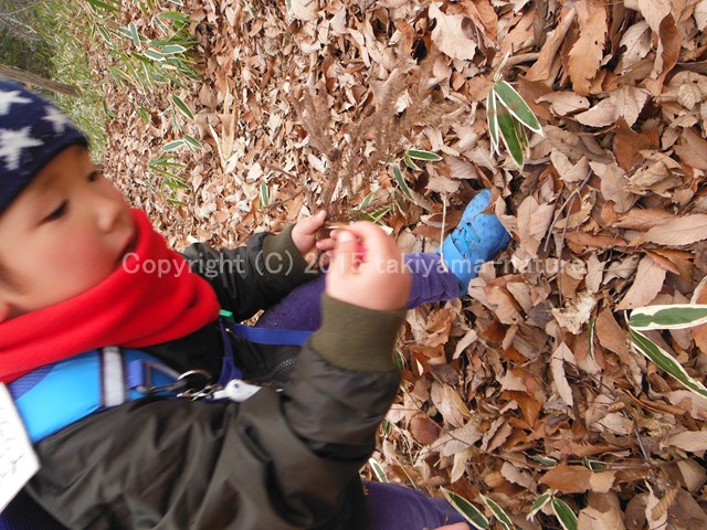 勉強は出来なくてもいい？