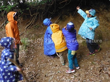 本当の安全と質の高い保育を考える。