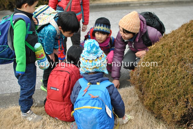 環境に働きかけていく力