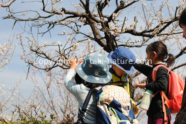 写真を撮ると見えてくるもの