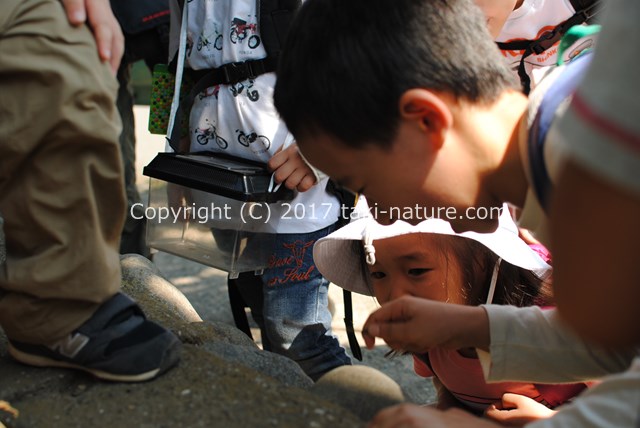 「遊び」を大事にした教育