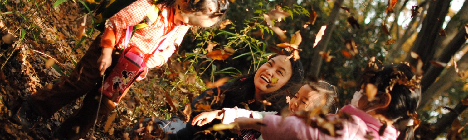 トライアルコース