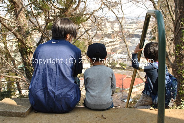 野外で行う少人数の幼児教育