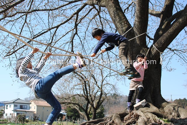子どもが自ら遊ぶ体験