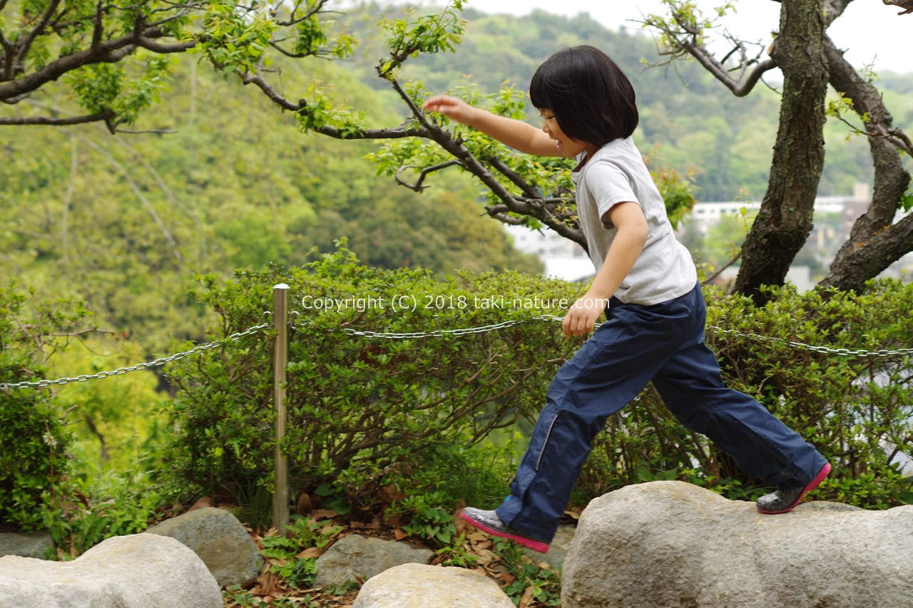子どもの保育環境について