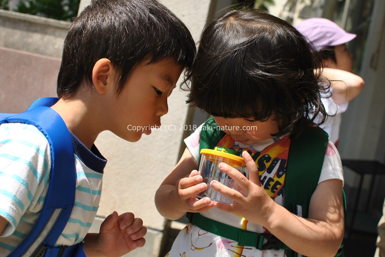 遊ぶ意欲を学ぶ意欲につなげる
