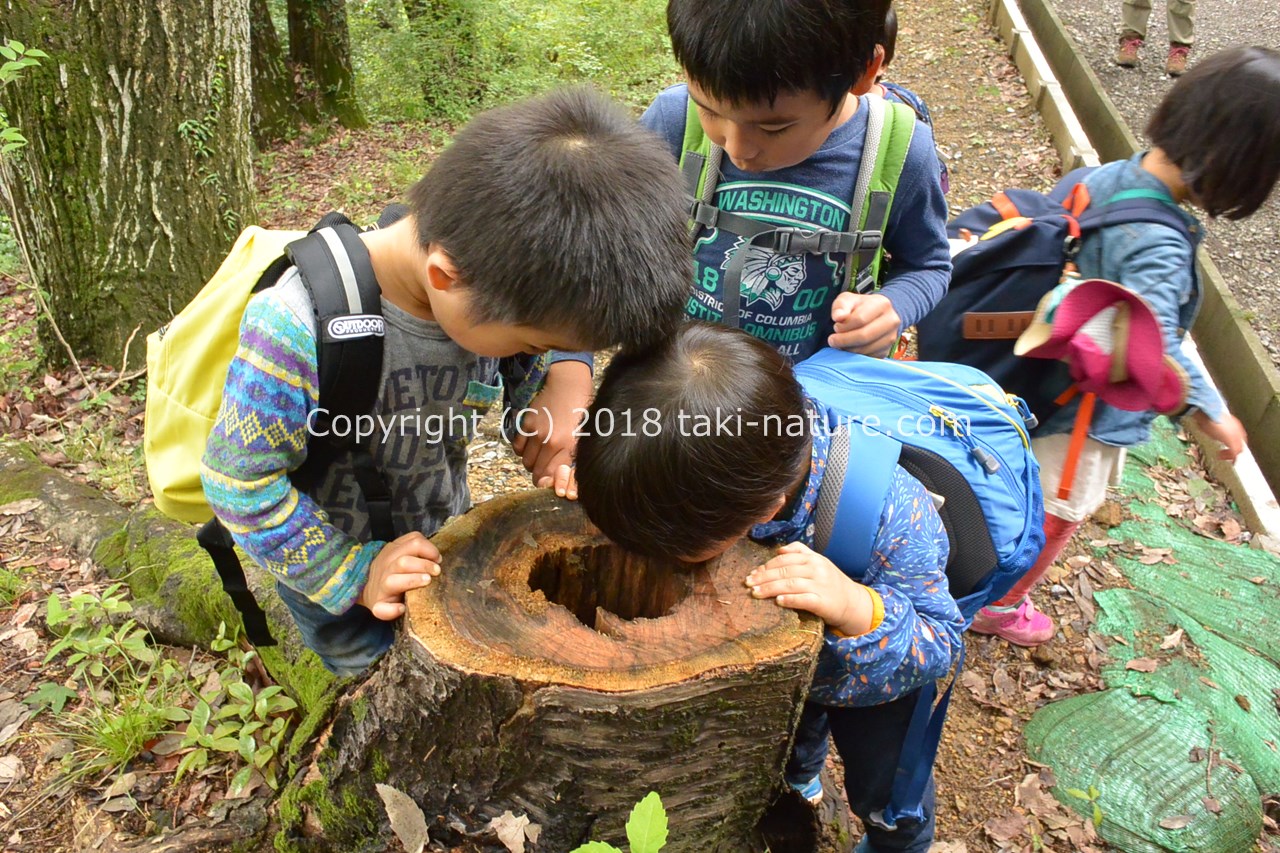 幼児の教育環境について考える