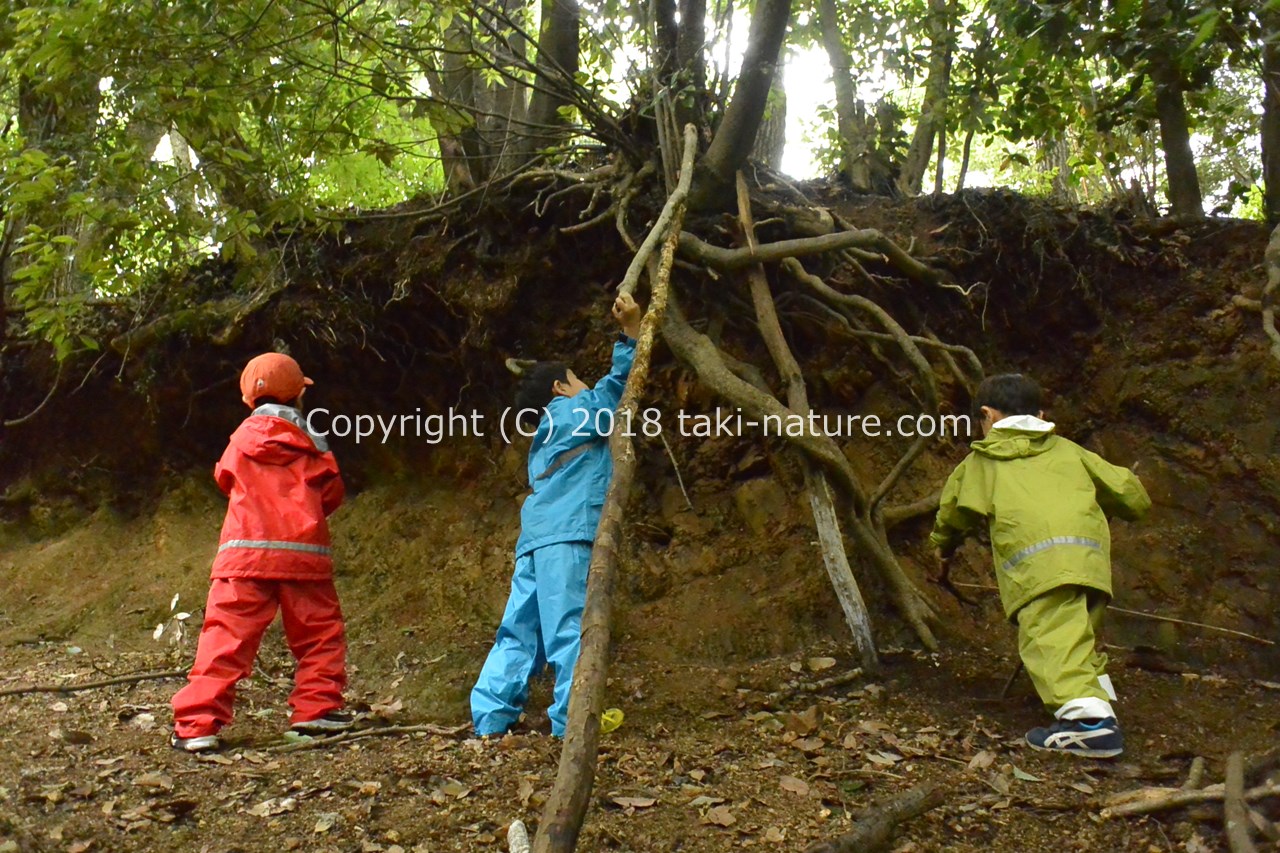 考える子どもを育てる