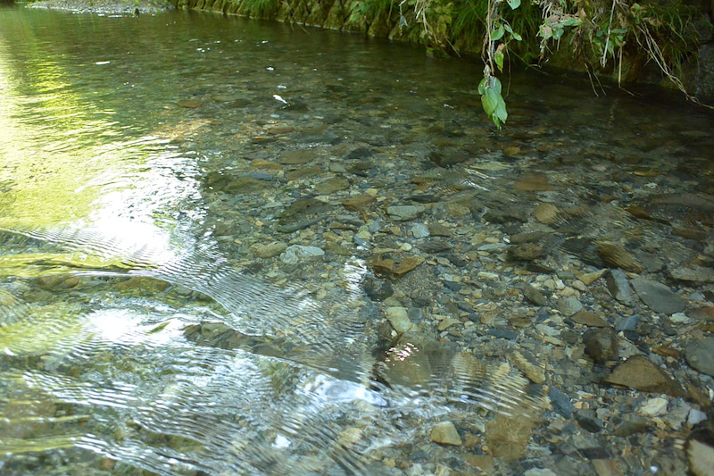 野外の活動の下見のポイントとは？