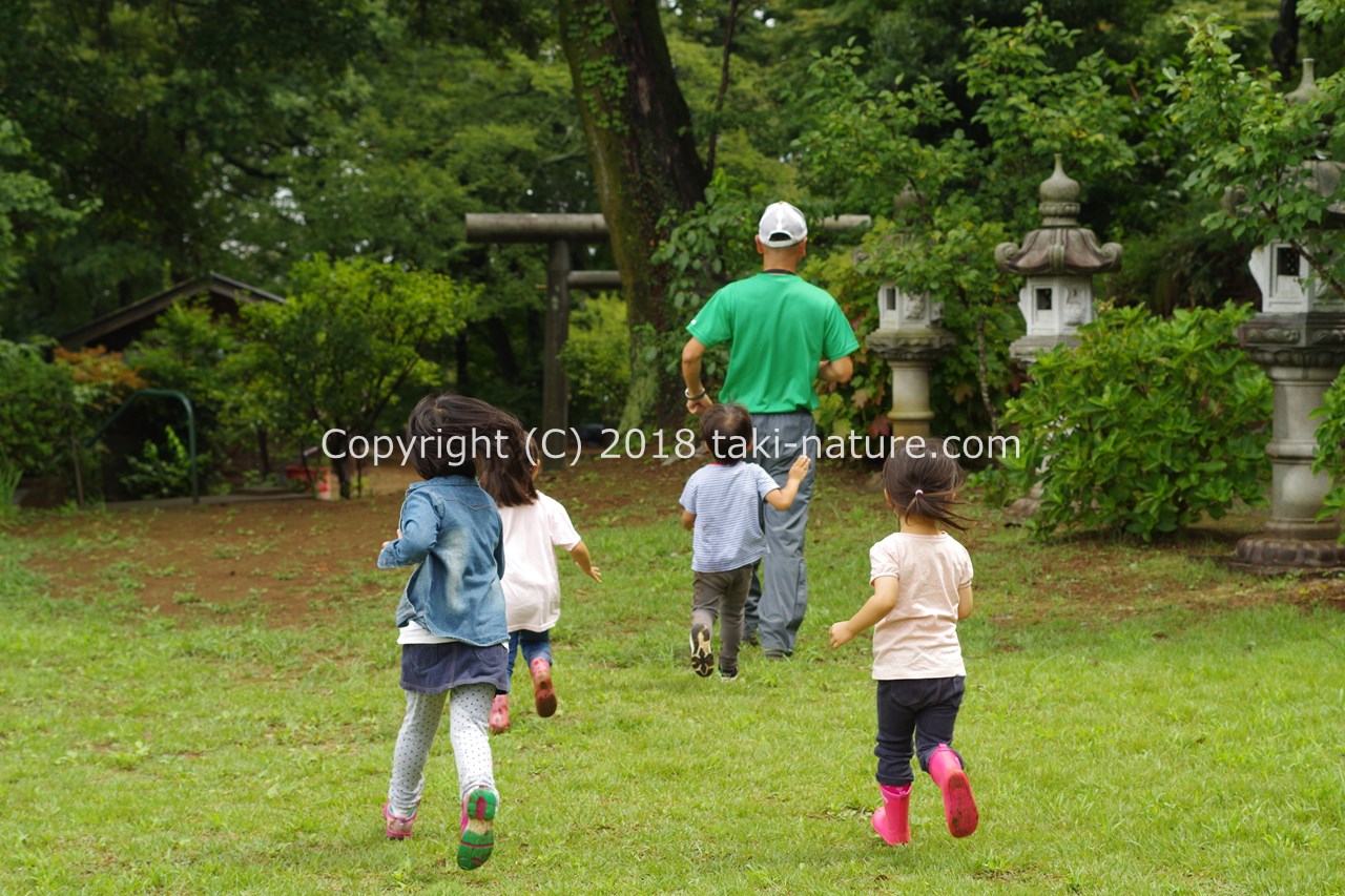 森のようちえんで起業