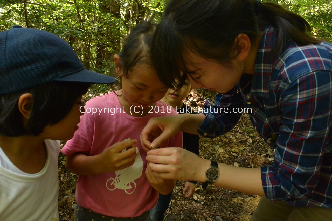 子どもの自由を保障する