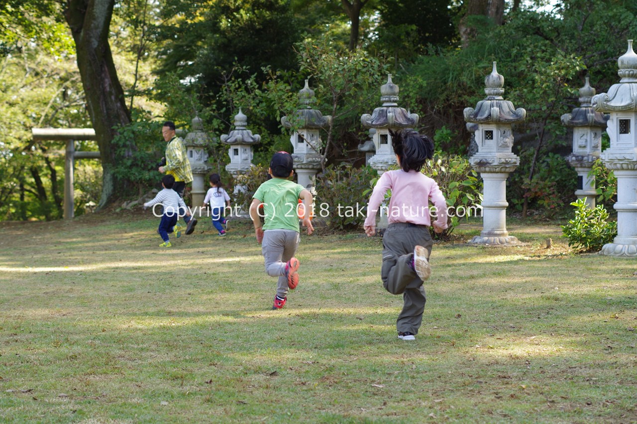 子どもを自由に遊ばせるには