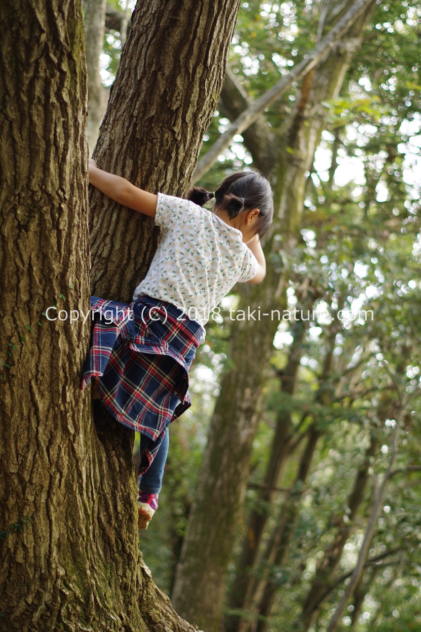 「落ちたら大変」なのは大人の方？