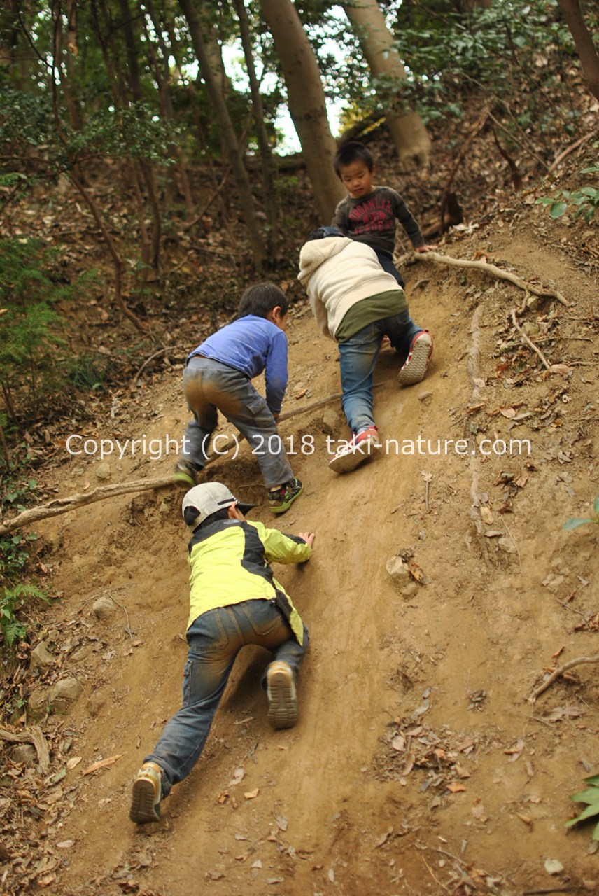子ども理解、遊びの捉え方