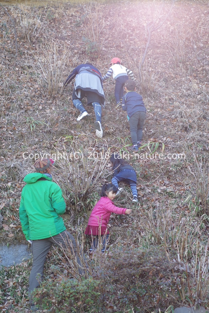 子どもの育ちを待つ