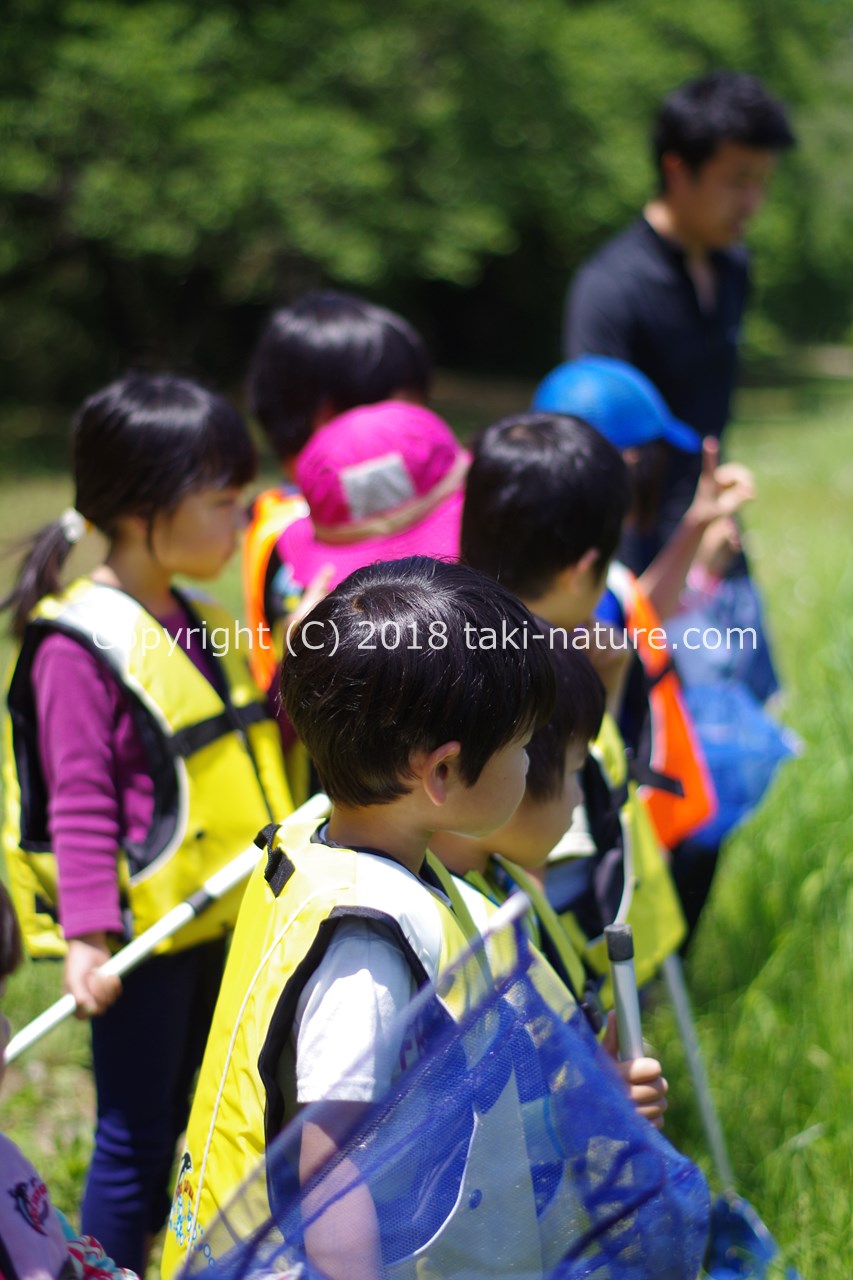 【実習】ザリガニ捕り