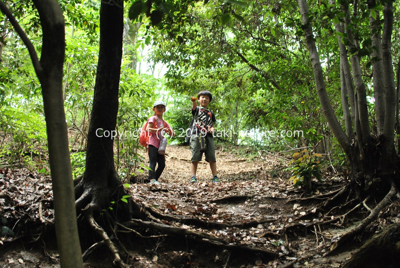 なりたい自分になる