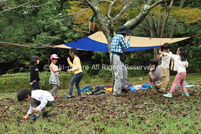 チームとして機能し、チームで安全を守る