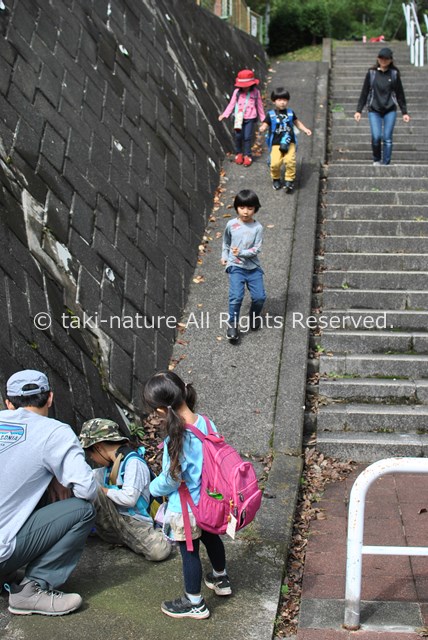 保育をデザインし、保育技術を高める