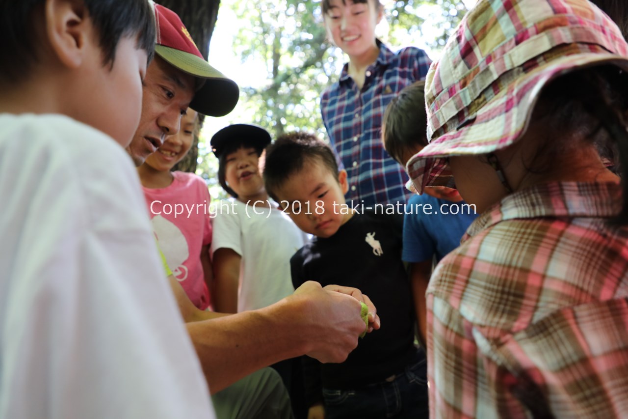 2020年度森のようちえん保育者養成講座【ソトアソビスクール】