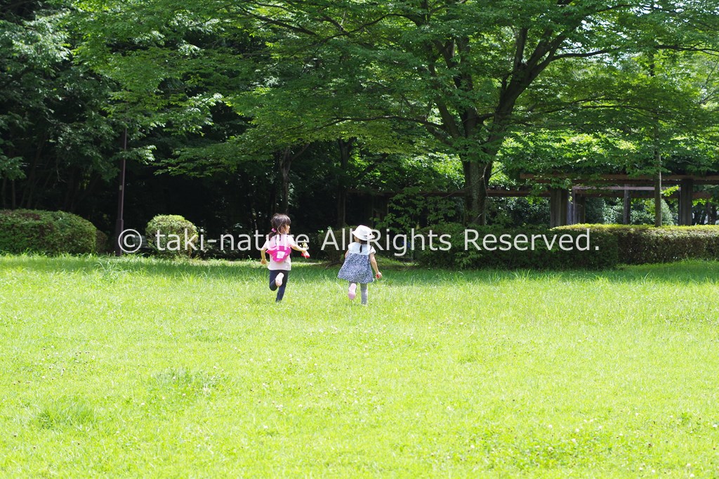 子どもは仲間の中で育つ