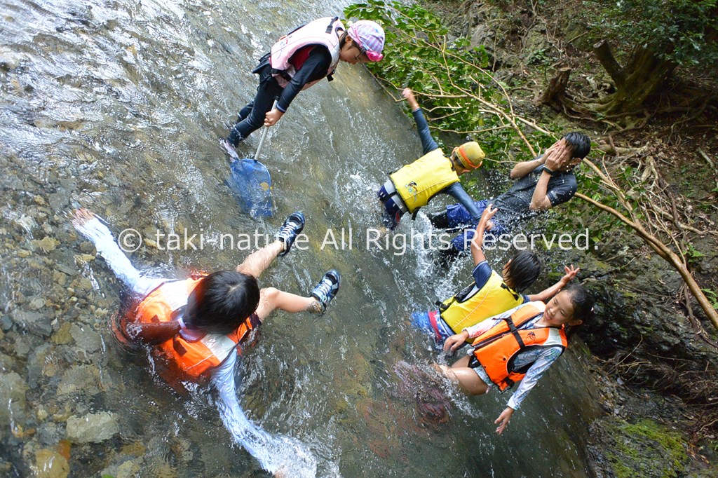 環境設定とプログラム編