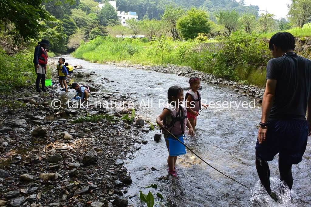 安全な水辺の活動を行う方法