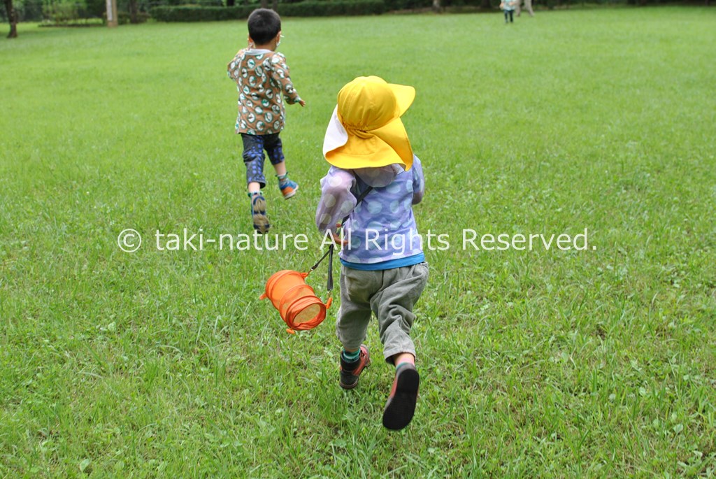 保育を組み立てる