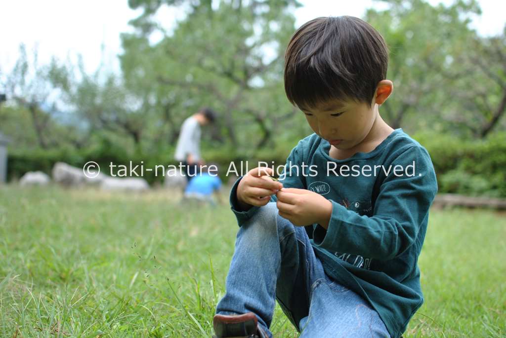 子どもの「思考」を育てる