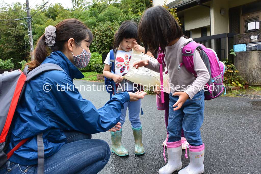 ソトアソビスクールの学び