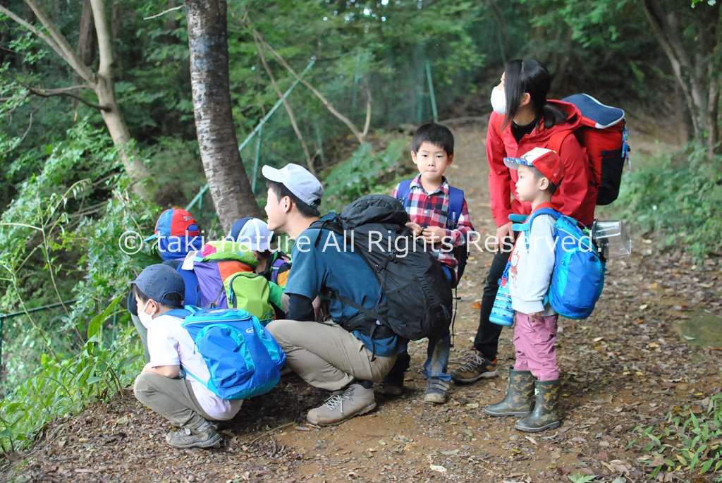 観察・判断・実行