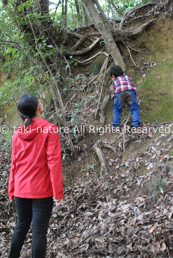 子どもを観察する技術