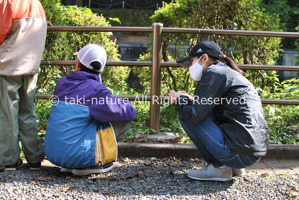 子どもとの関わり方