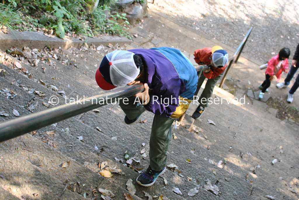 Guided play（対象に応じて働きかける教育）