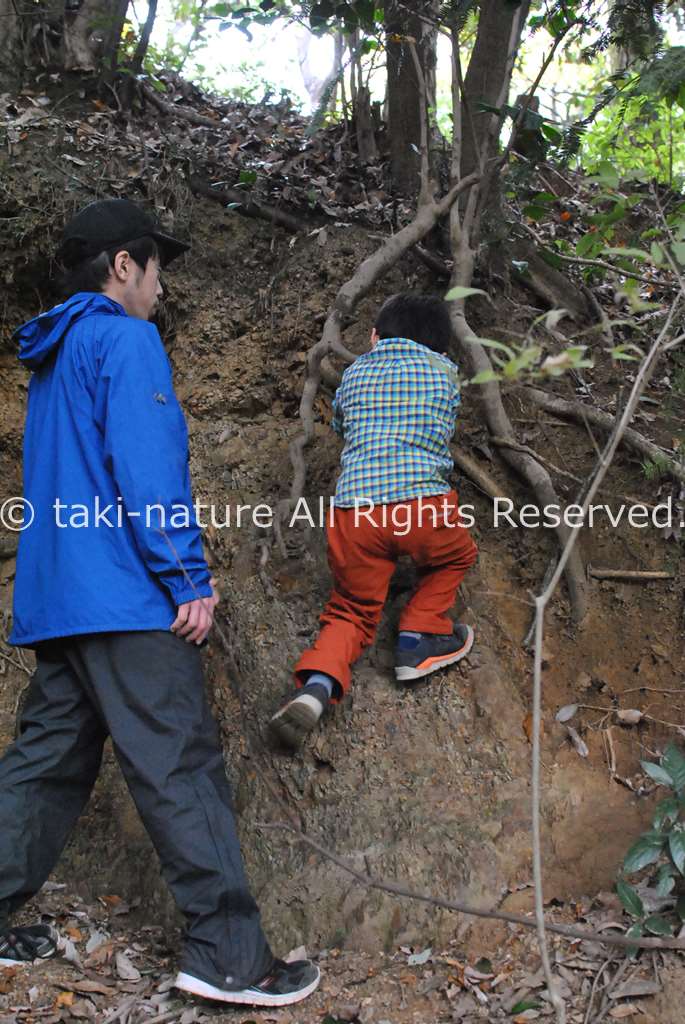 ポジショニング