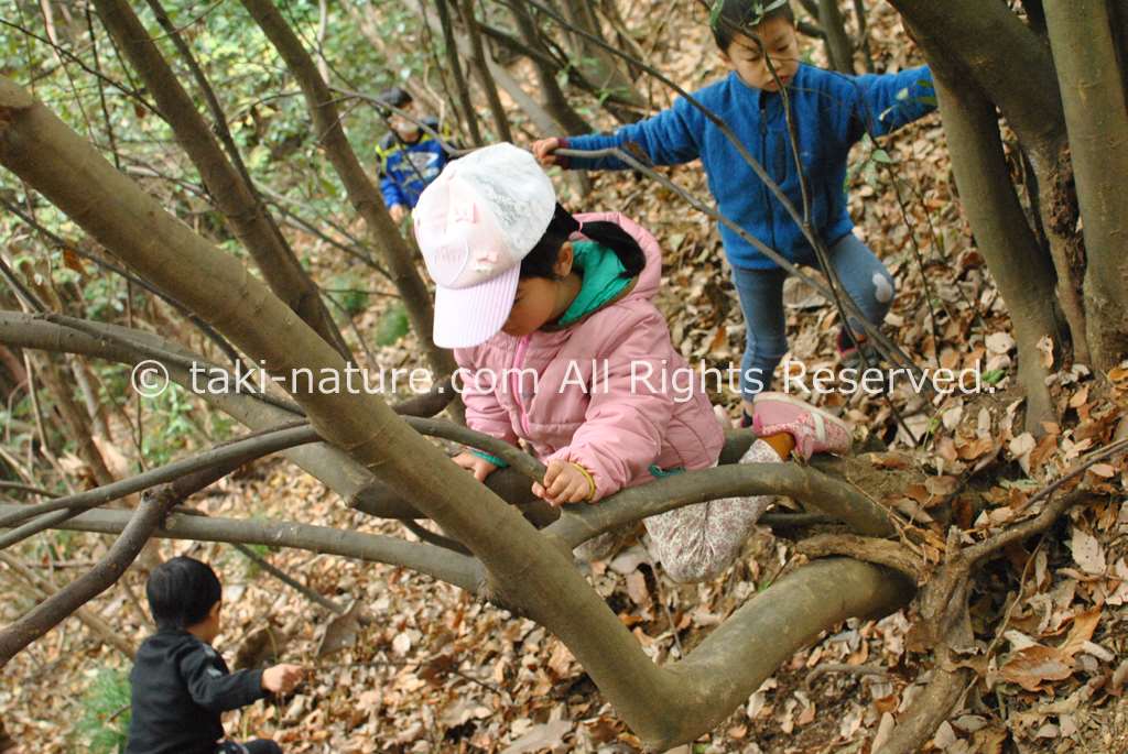 遊びを通した学びの体験