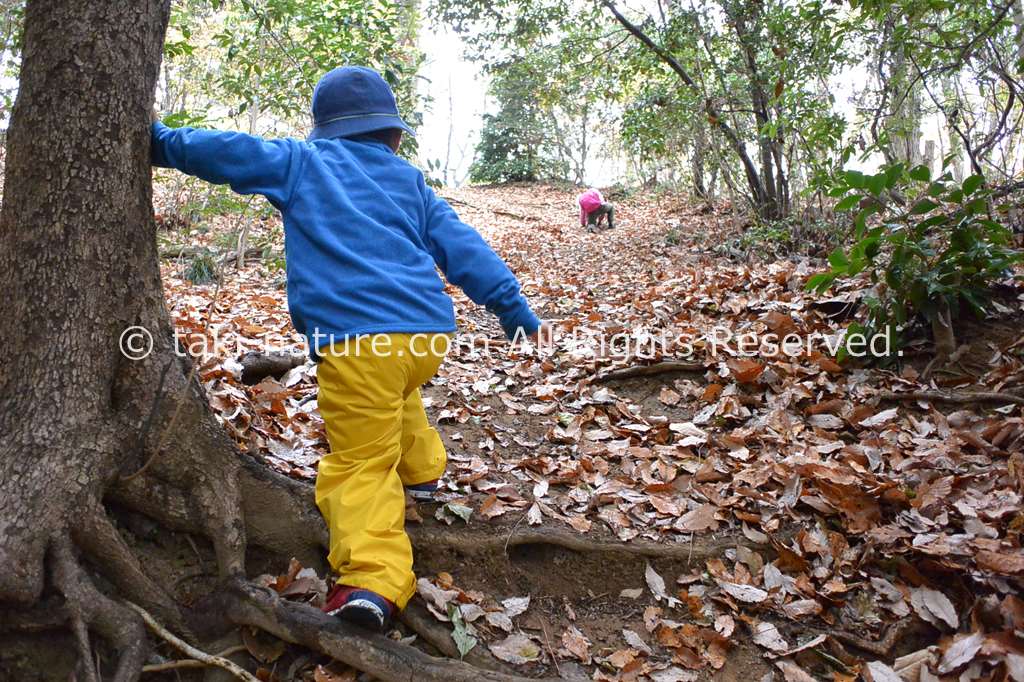保育ドキュメンテーションのすすめ方