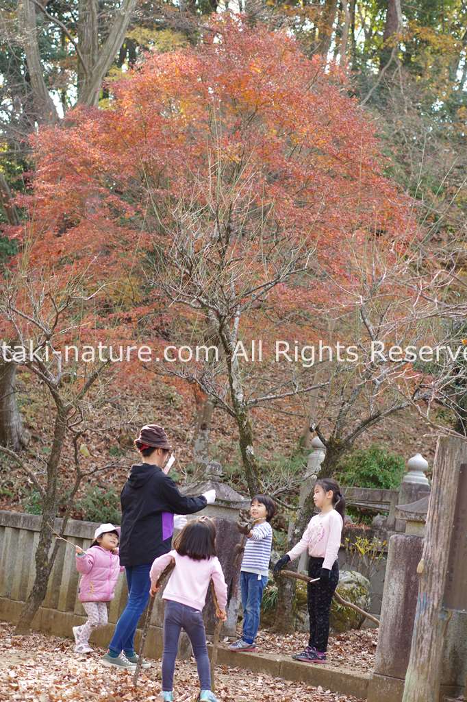 アドバンスコースのご案内