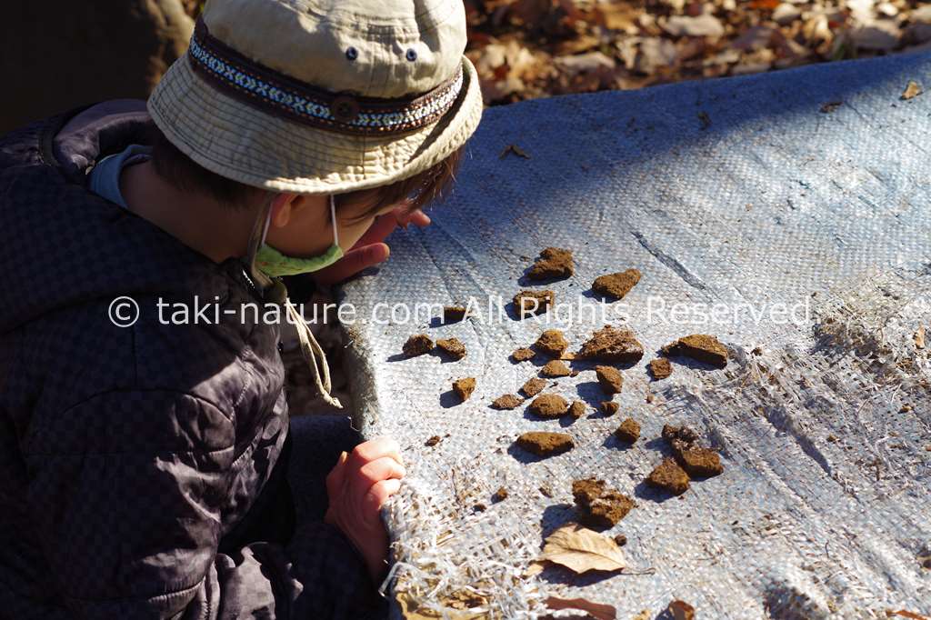 内面の変化を見守る
