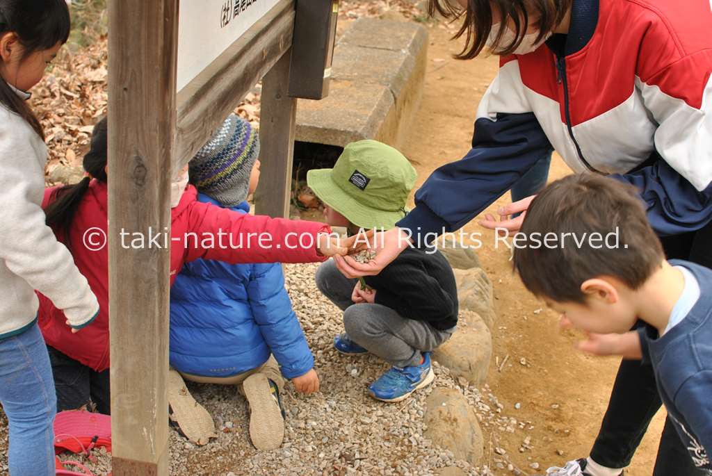 ごっこ遊びは子どもを育てる