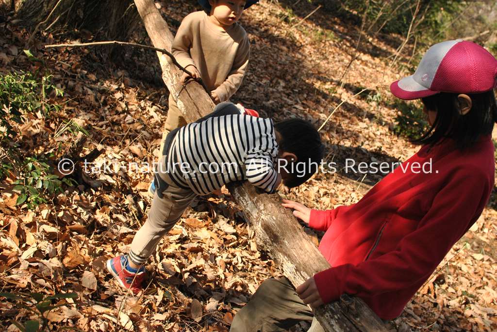 子どもの運動能力を高めるには