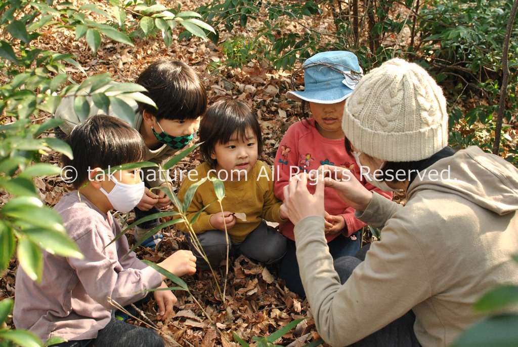 環境を通して指導し、体験を通して学ぶ
