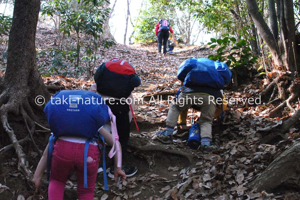 大人のポジションと役割