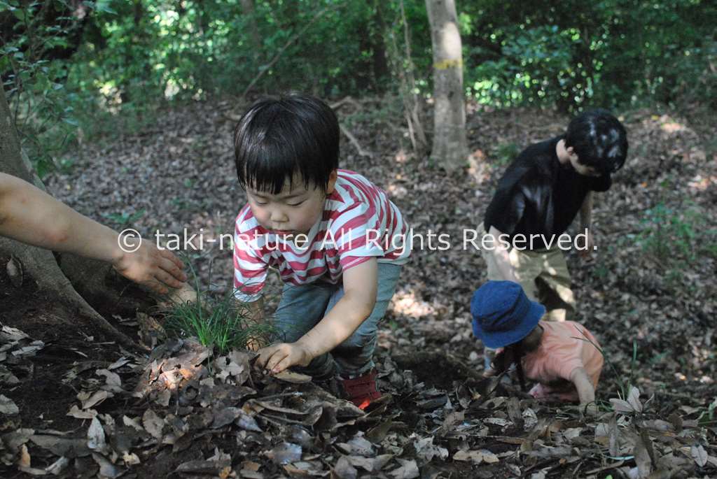 どこまで見守り、どこから関わるのか