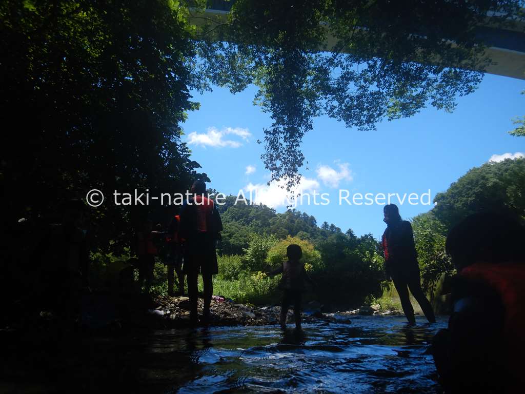 フィールドの選び方２