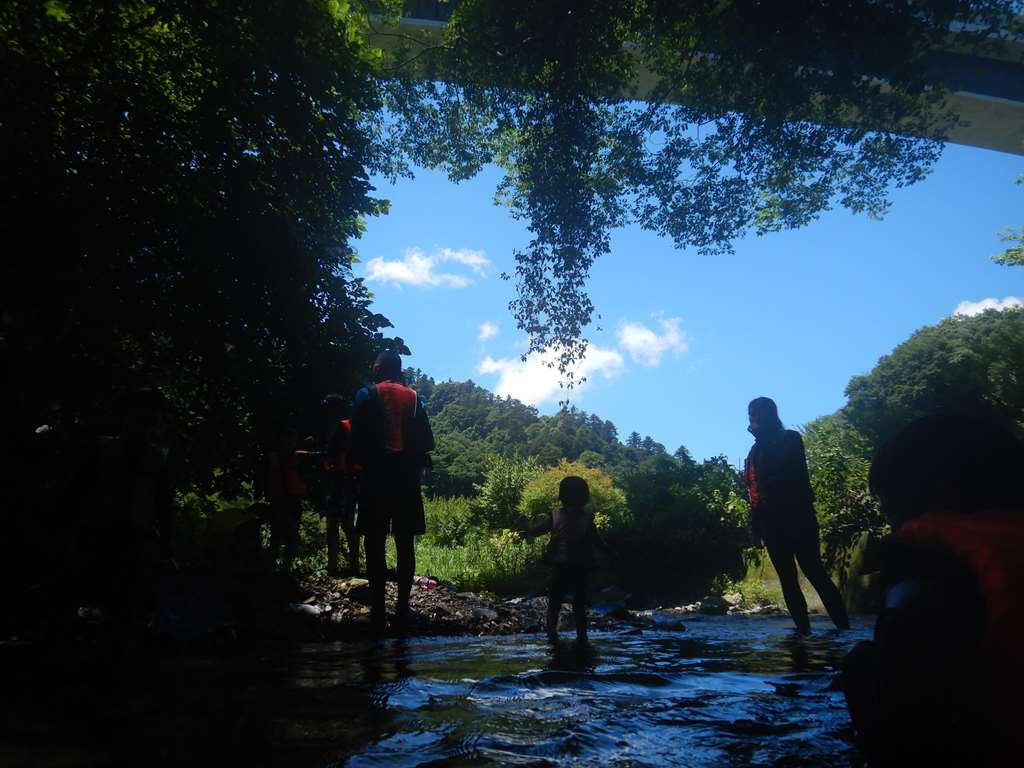 フィールドの選び方