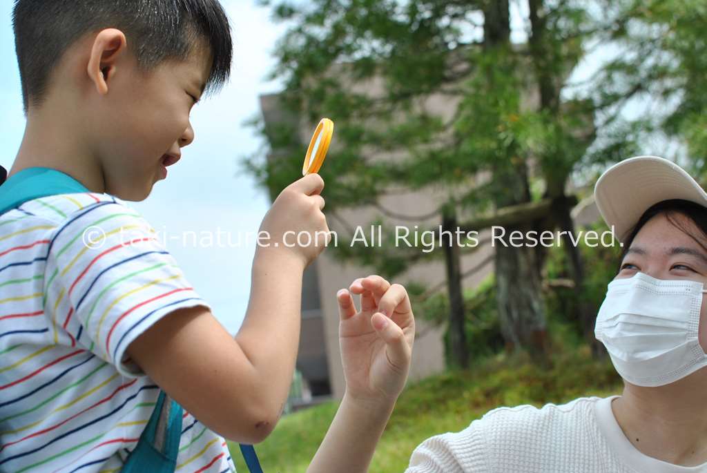 子どもを観察する