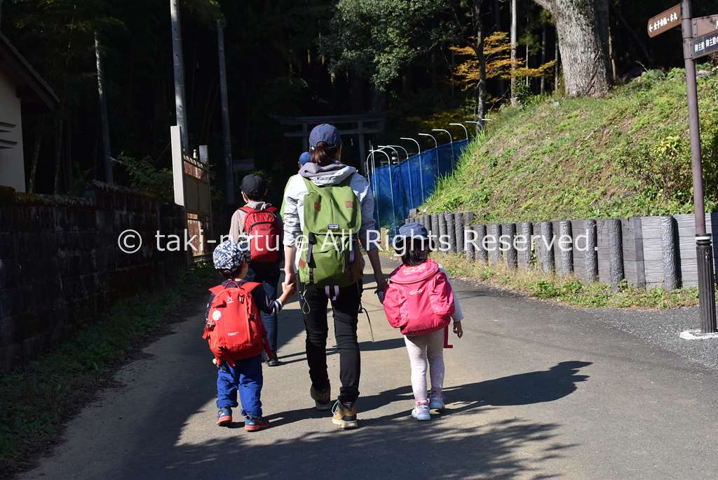 保育者の役割とポジショニング