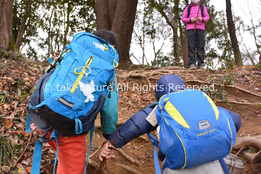 保育の質を高める